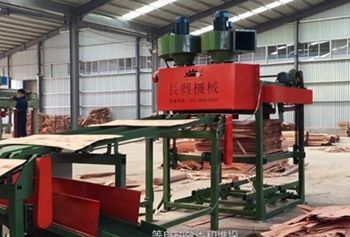 Stain & Lacquer Automatic Core Rotary Veneer Sorting And Stacking Machine