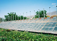 Solar Dryers