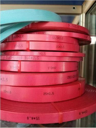 Wear Ring Slide Ring Strip Seal