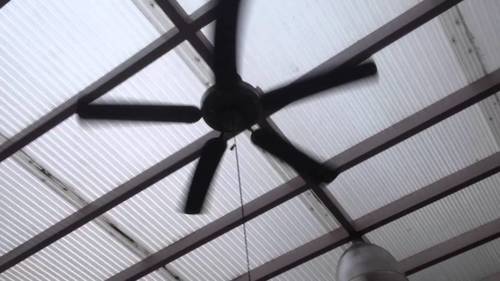 Ceiling Fan