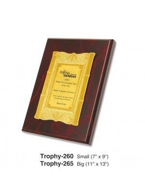 Attractive Trophy