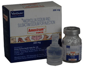 AMOXIRUM FORTE Injection