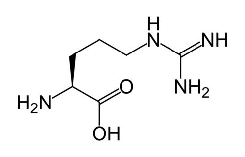 L-arginine