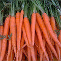  शीर्ष गुणवत्ता वाले गाजर के बीज