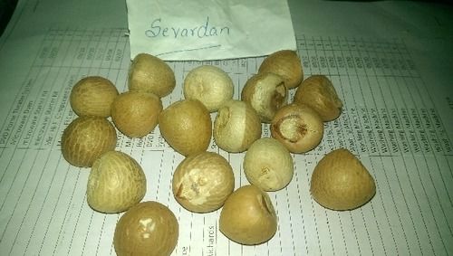 Sevardhan Areca Nut