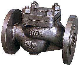 SG Iron Lift Check Valves