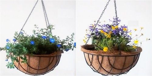 Coir Hanging Baskets