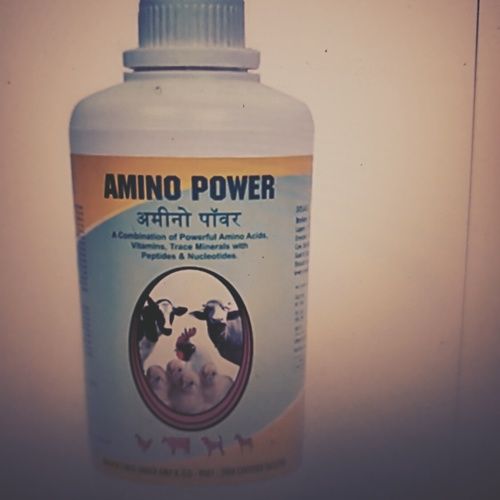 Amino Power Veterinary Suppliment