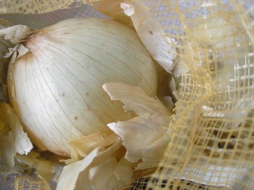 Dehydrated White Onion