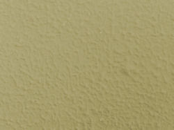 Roller Coat Wall Texture