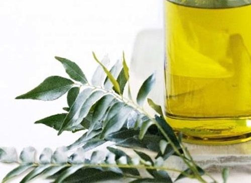 Curry Leaf Oil