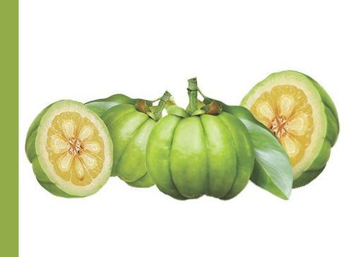 Garcinia