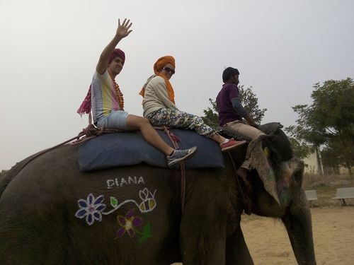 Elephant Ride and Safari Service By EleFanJoy
