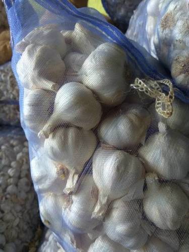 Fresh Garlic