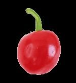 Hot Cherry Pepper