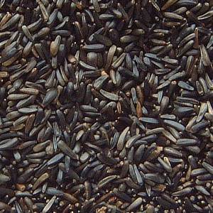 Best Quality Niger Seeds