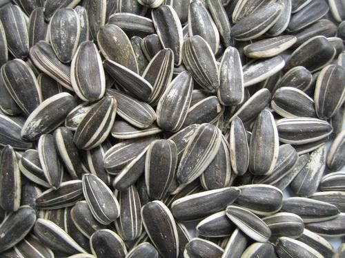 Black Sunflower Seeds