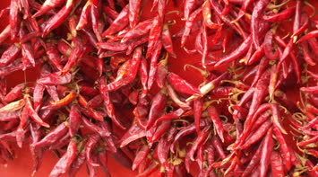 White Hybrid Aromatic Red Chillies