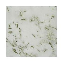 Pista White Marble