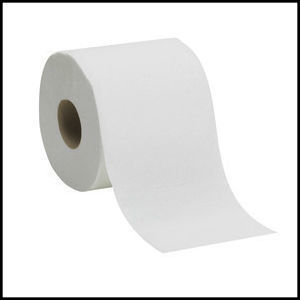 Toilet Paper Roll
