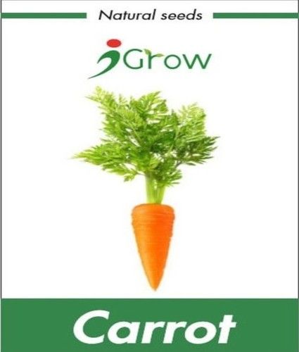Naturally Treated Organic Carrots Seeds