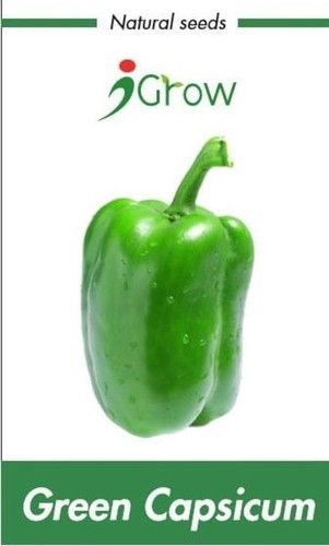 Organic Capsicum Seeds