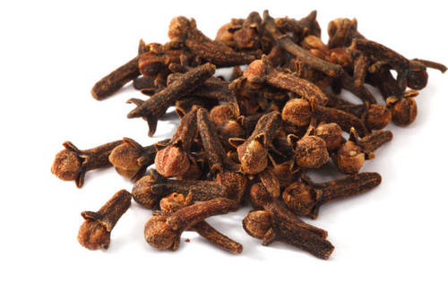 Syzygium Aromaticum (Cloves)