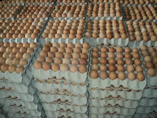  सफेद और भूरे रंग के ताजे टेबल चिकन अंडे 