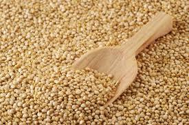 High Grade Organic Quinoa