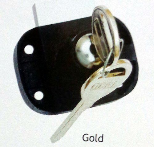 Multipurpose Locks (Gold)