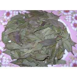 Neem Leaf Dry