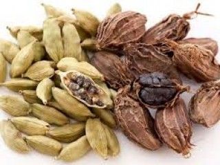 Cardamom