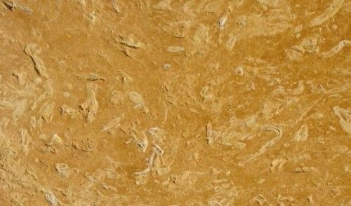 Flowery Gold Sandstone