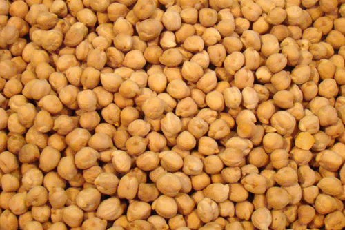 Chick Peas Kabuli