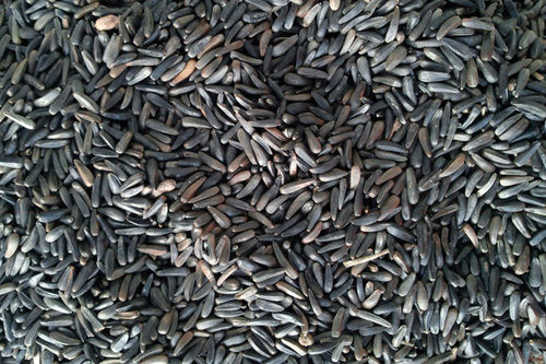 Niger Seed