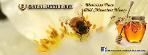 Royal Little Bee - 100% Pure Wild Mountain Honey