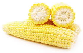 Yellow Maize