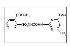 Metsulfuron Methyl