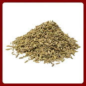 Fennel Seeds