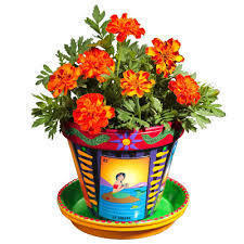 Designer Flower Pots