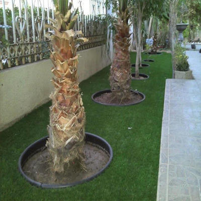 Fancy Artificial Grass