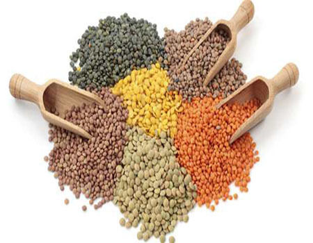 MADHU Pulses