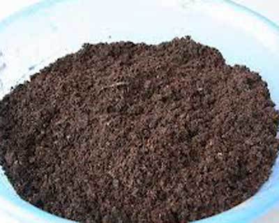 Vermicompost