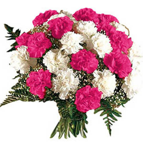 White N Pink Carnation Bunch