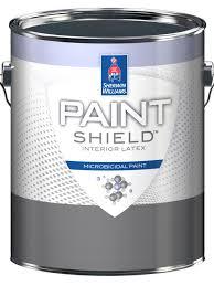 Anti Bacterial Paints