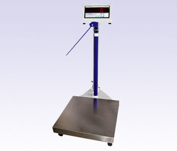 Automatic Adult Scales