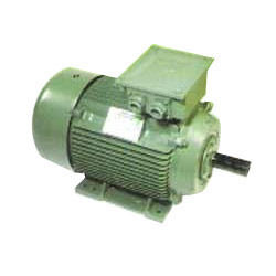 Three Phase TEFC Cage Motors