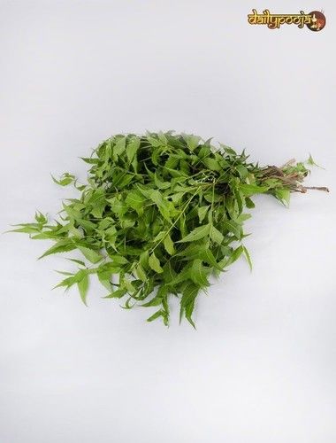 Loose Pack of Neem Leaves