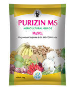 PURIZIN MS (Magnesium 9.6%)