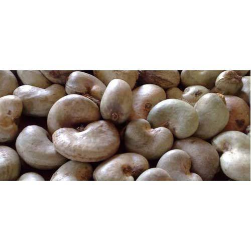Benin Raw Cashew Nuts